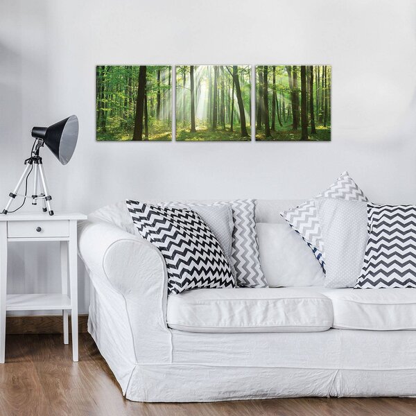 Obraz na plátně: Slunce v lese (3) - set 3ks 25x25cm