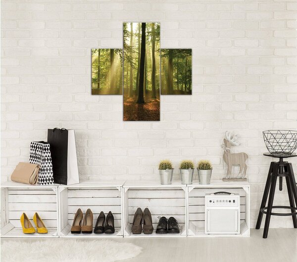 Obraz na plátně: Slunce v lese (4) - set 1ks 80x30 cm a 2ks 37,5x24,8 cm