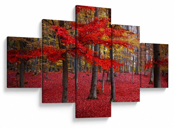Obraz - Červený les (125x70 cm)