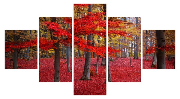Obraz - Červený les (125x70 cm)