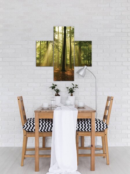 Obraz na plátně: Slunce v lese (4) - set 1ks 80x30 cm a 2ks 37,5x24,8 cm