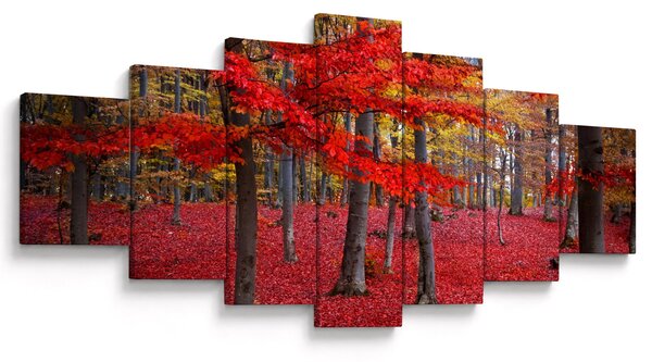 Obraz - Červený les (210x100 cm)