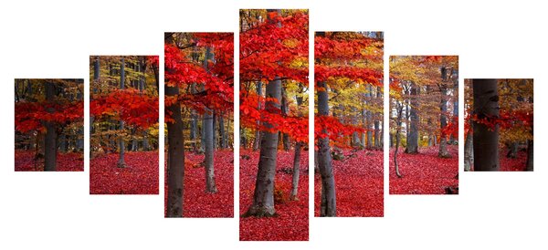 Obraz - Červený les (210x100 cm)