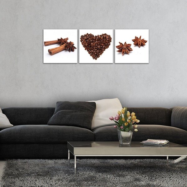 Obraz na plátně: Koření (1) - set 3ks 25x25cm