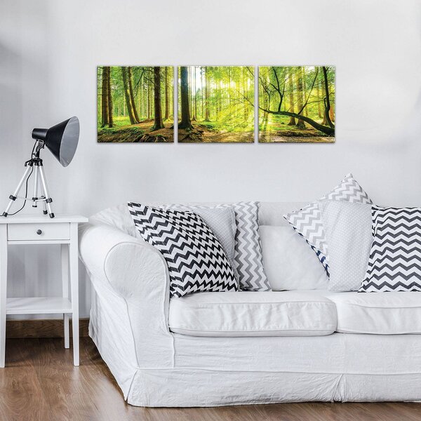 Obraz na plátně: Lužní les - set 3ks 25x25cm
