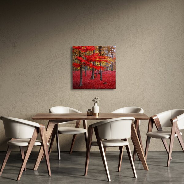 Obraz - Červený les (30x30 cm)