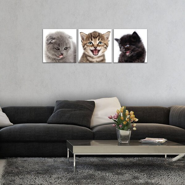 Obraz na plátně: Koťata (1) - set 3ks 25x25cm