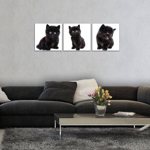 Obraz na plátně: Černé kotě - set 3ks 25x25cm