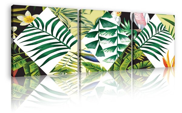Obraz na plátně: Malovaná tropická flóra (2) - set 3ks 25x25cm
