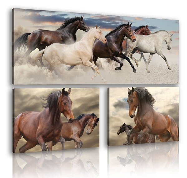 Obraz na plátně: Koně (2) - set 1ks 80x30 cm a 2ks 37,5x24,8 cm