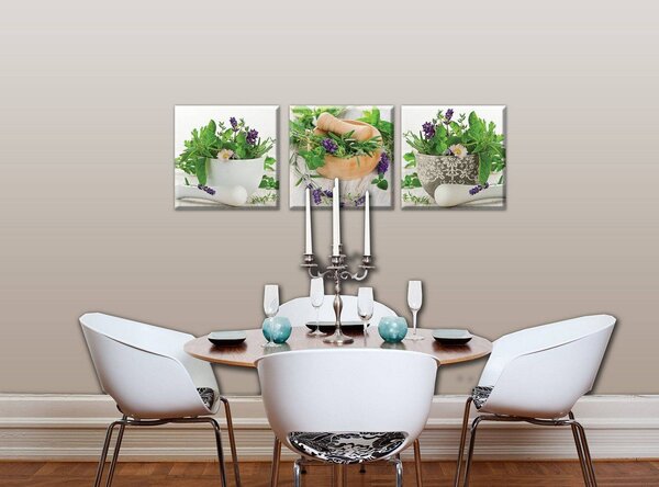 Obraz na plátně: Bylinky - set 3ks 25x25cm