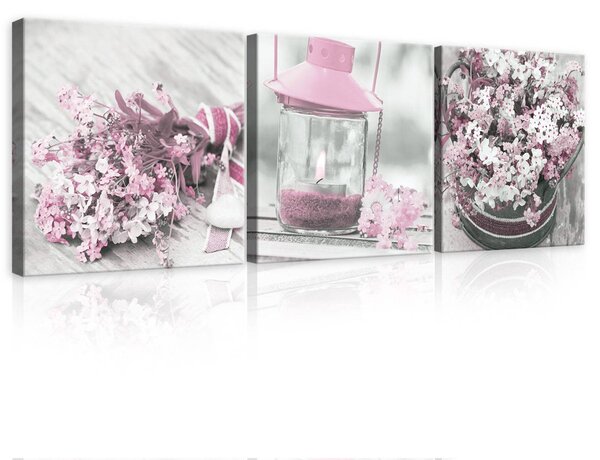Obraz na plátně: Růžové zátiší (1) - set 3ks 25x25cm
