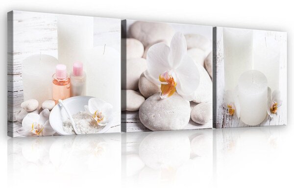 Obraz na plátně: Koupelnové oblázky (1) - set 3ks 25x25cm