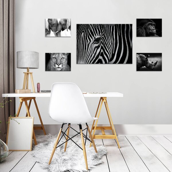 Obraz na plátně: Černobílá zvířata (2) - set 1ks 70x50 cm a 4ks 32,4x22,8 cm