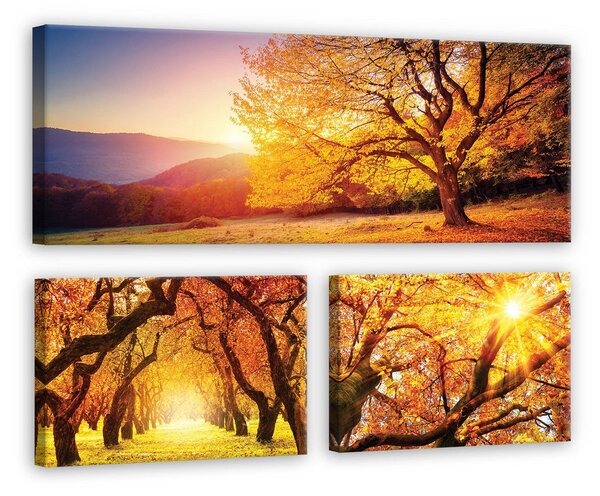 Obraz na plátně: Podzimní stromy - set 1ks 80x30 cm a 2ks 37,5x24,8 cm