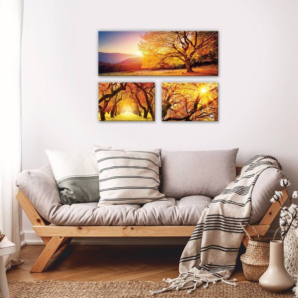 Obraz na plátně: Podzimní stromy - set 1ks 80x30 cm a 2ks 37,5x24,8 cm