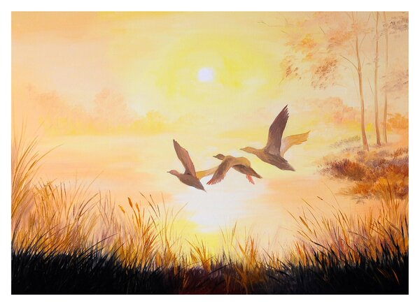 Skleněný obraz - Jeřábi při západu slunce (70x50 cm)