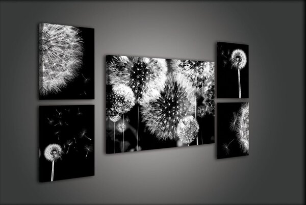 Obraz na plátně: Pampelišky - set 1ks 70x50 cm a 4ks 32,4x22,8 cm