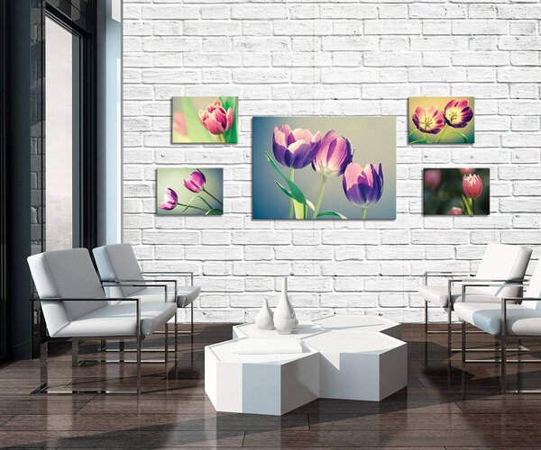 Obraz na plátně: Tulipány (2) - set 1ks 70x50 cm a 4ks 32,4x22,8 cm