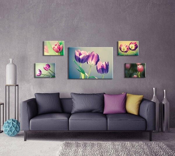 Obraz na plátně: Tulipány (2) - set 1ks 70x50 cm a 4ks 32,4x22,8 cm