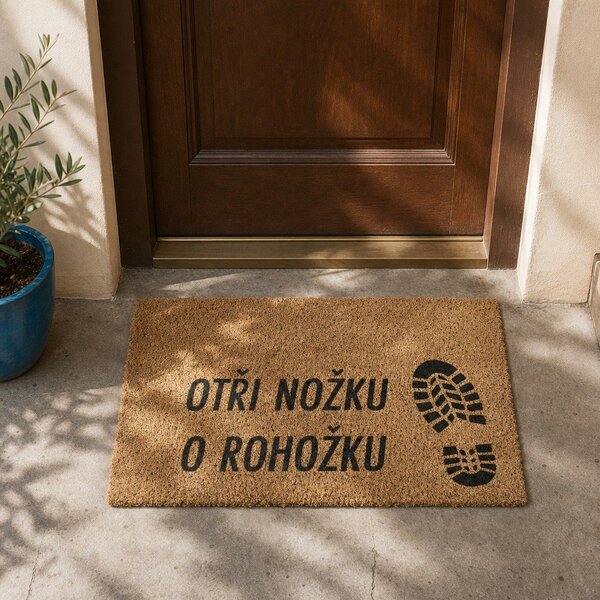 Rohožka z kokosového vlákna 40x60 cm Boots – Artsy Doormats