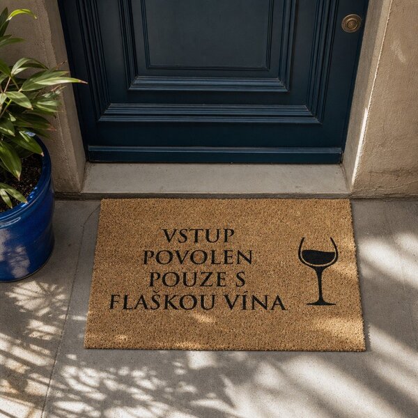 Rohožka z kokosového vlákna 40x60 cm Flaška Vína – Artsy Doormats