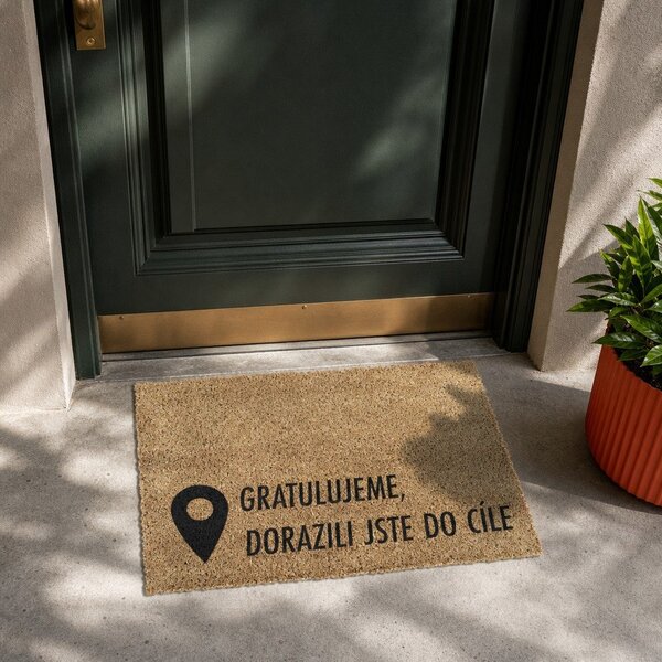 Rohožka z kokosového vlákna 40x60 cm Pin – Artsy Doormats