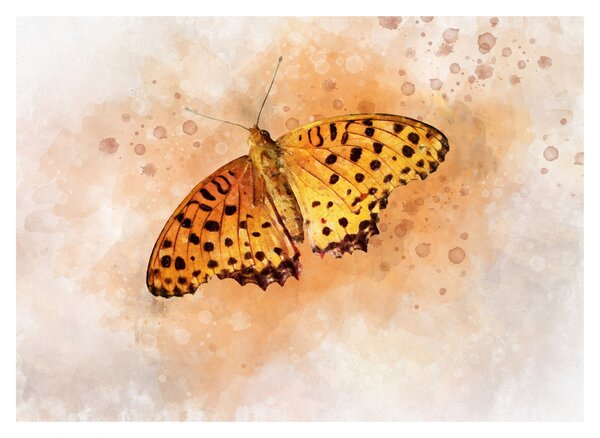 Skleněný obraz - Oranžový motýl, aquarel (70x50 cm)