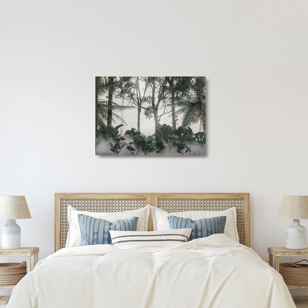 Skleněný obraz - Jungle v ranní mlze (70x50 cm)