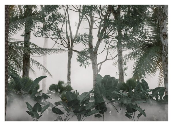 Skleněný obraz - Jungle v ranní mlze (70x50 cm)