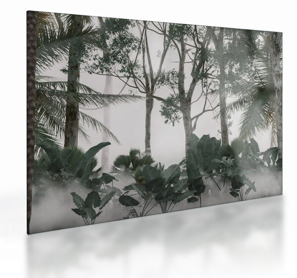 Skleněný obraz - Jungle v ranní mlze (70x50 cm)