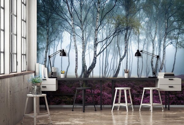 Fototapeta vliesová: Tajemný les - 368x254 cm