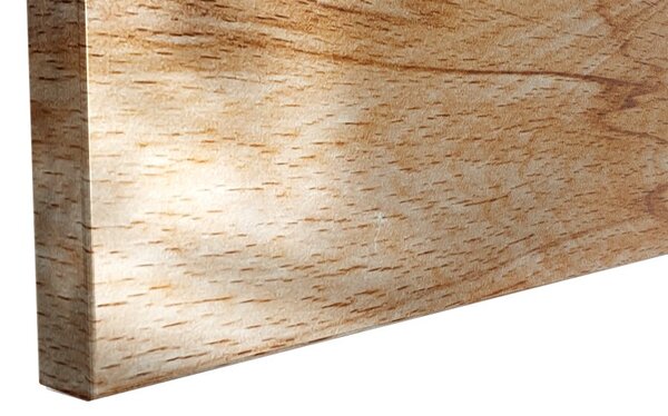 Kovový obraz EXOTICKÉ DŘEVO 60x40 ALLboards METAL,MB64_00112