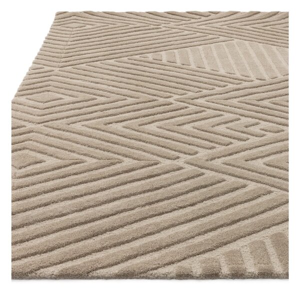 Světle hnědý vlněný koberec 120x170 cm Hague – Asiatic Carpets