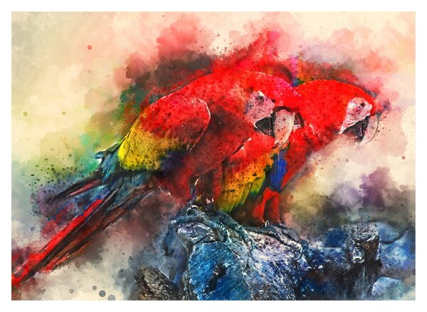 Skleněný obraz červených papoušků ara (70x50 cm)