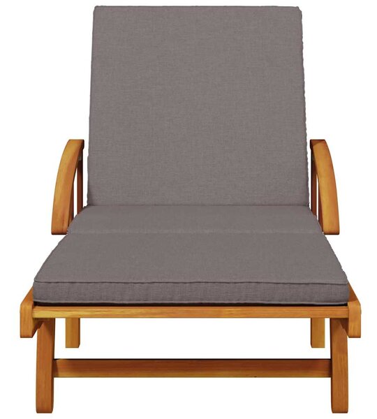 Zahradní lehátka 2 ks s poduškami 200x68x83 cm masivní akácie 3206373