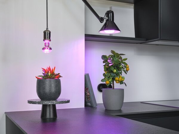 LED žárovka pro pěstování rostlin Star Grow Lamp T 80, 20W, Čirá, E27