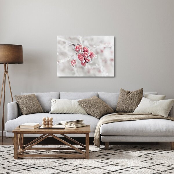 Skleněný obraz - Zmrzlé plody (70x50 cm)