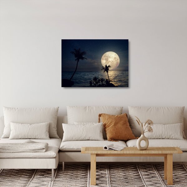 Skleněný obraz - Pláž za úplňku (70x50 cm)