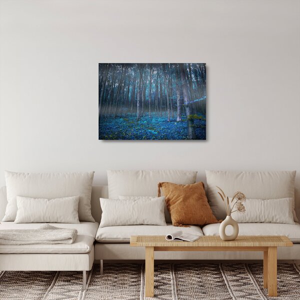 Skleněný obraz - Magický les (70x50 cm)