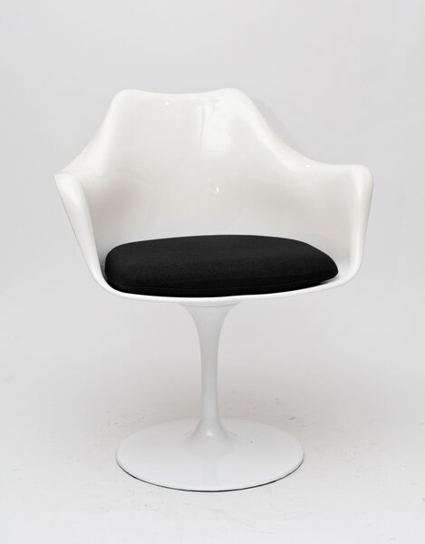 Židle TULAR bílá/černý polštář, Sedák s čalouněním, Nohy: kov, plast, barva: černá, s područkami plast