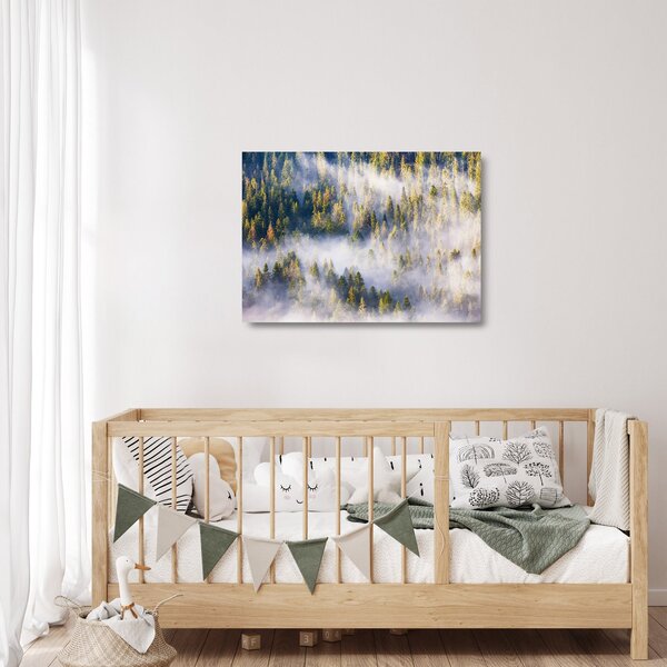 Skleněný obraz stromů v mlze (70x50 cm)