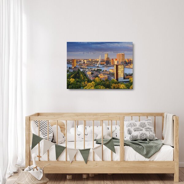 Skleněný obraz - Panorama Rotterdamu, Nizozemsko (70x50 cm)
