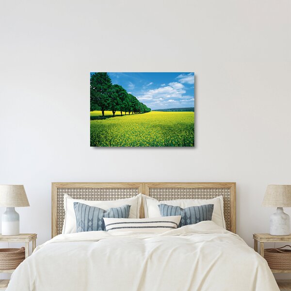 Skleněný obraz pole s alejí (70x50 cm)