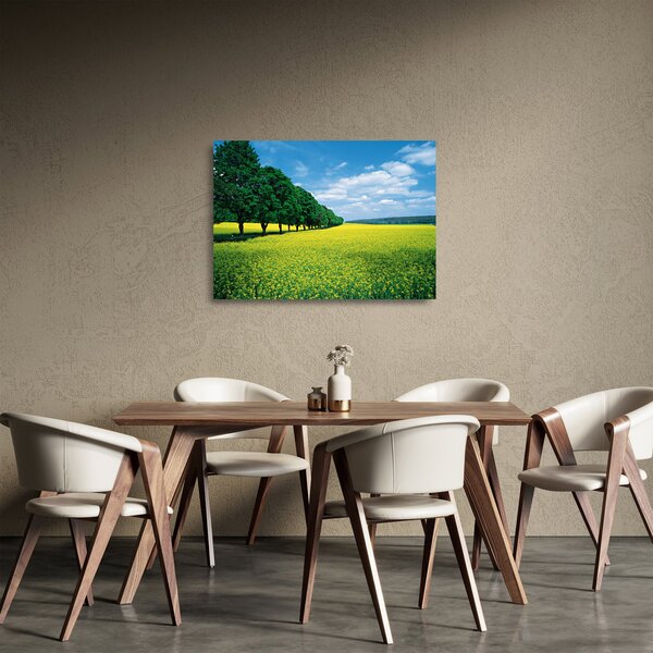 Skleněný obraz pole s alejí (70x50 cm)