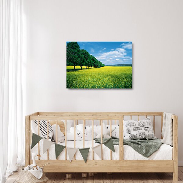 Skleněný obraz pole s alejí (70x50 cm)
