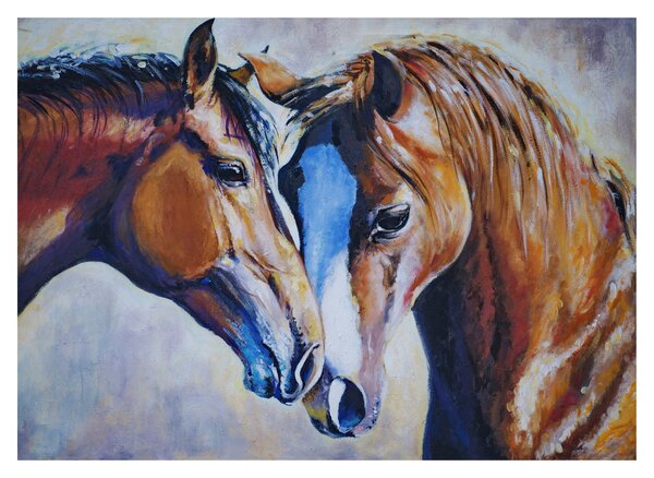 Skleněný obraz - Zamilovaní koně (70x50 cm)