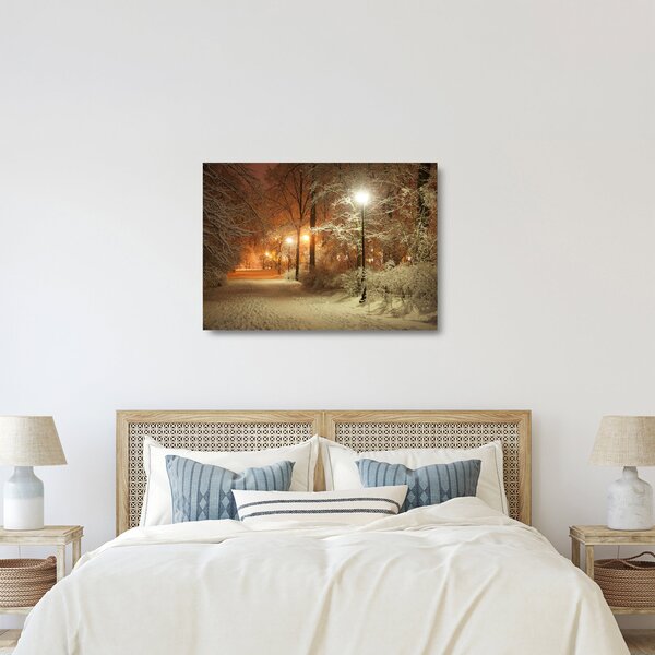 Skleněný obraz - Zasněžený park (70x50 cm)