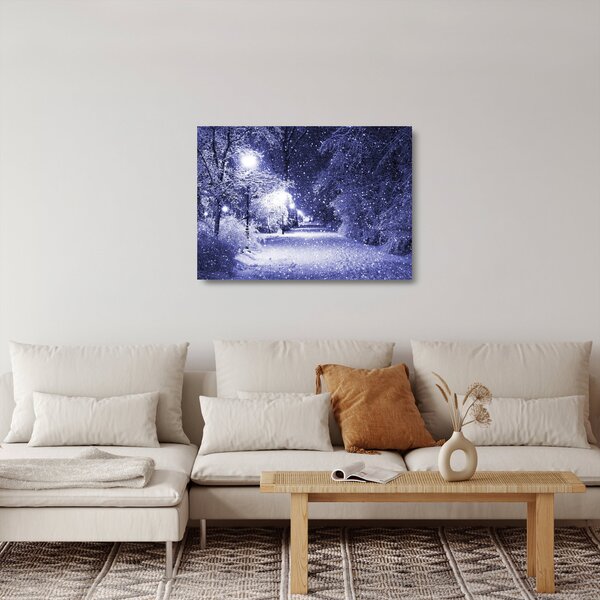 Skleněný obraz - Kouzelná zimní noc (70x50 cm)