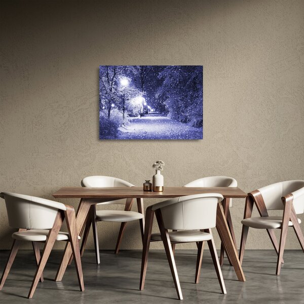 Skleněný obraz - Kouzelná zimní noc (70x50 cm)